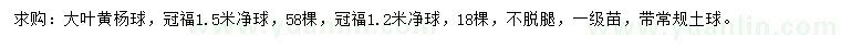 求购冠幅1.2、1.5米大叶黄杨球