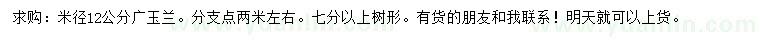 求购米径12公分广玉兰