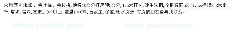 求购西府海棠、金叶榆、金枝槐等