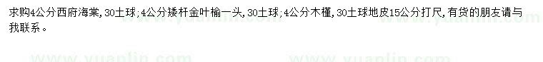 求购西府海棠、金叶榆、木槿