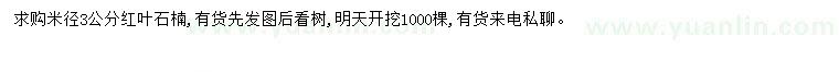 求购米径3公分红叶石楠