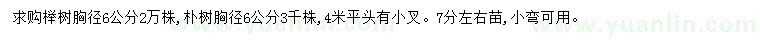 求购胸径6公分榉树、朴树