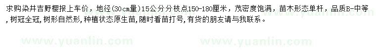 求购30量15公分染井吉野樱