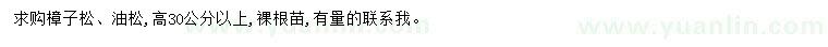 求购高30公分以上樟子松、油松