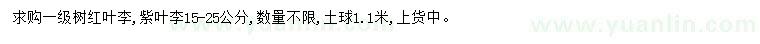 求购15-25公红叶李、紫叶李