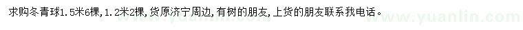 求购1.2、1.5米冬青球