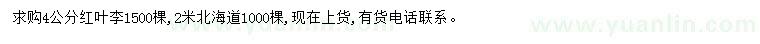 求购4公分红叶李、2米北海道
