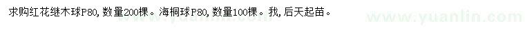 求购冠80公分红花继木球、海桐球