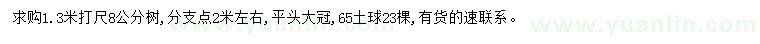 求购1.3米打尺8公分桑树