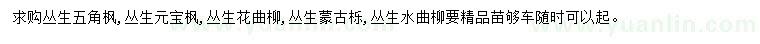 求购丛生五角枫、丛生元宝枫、丛生花曲柳等