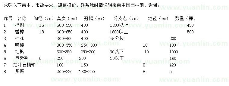 求购榉树、香樟、桂花等