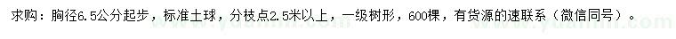 求购胸径6.5公分起步五角枫