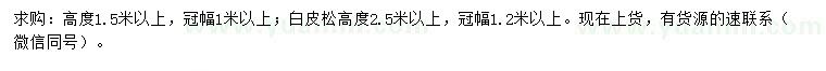求购高1.5、2.5米以上白皮松