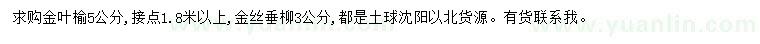 求购5公分金叶榆、3公分金丝垂柳