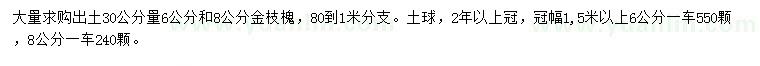 求购30量6、8公分金枝槐