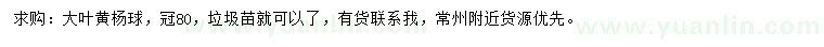 求购冠80公分大叶黄杨球