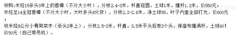 求购米径14、15公分香樟、米径8公分栾树