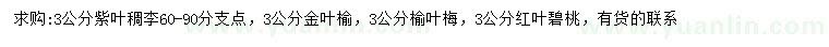 求购紫叶稠李、金叶榆、榆叶梅等