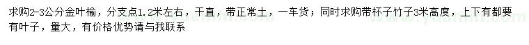 求购2-3公分金叶榆、高3米竹子