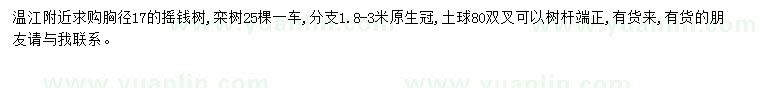 求购胸径17公分摇钱树、栾树