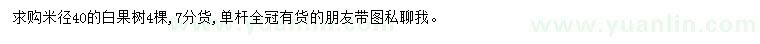 求购米径40公分白果树