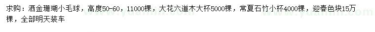 求购洒金珊瑚、大花六道木、石竹