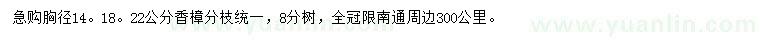 求购胸径14、18、22公分香樟