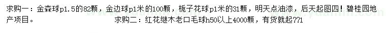 求购金森球、，金边球、栀子花球