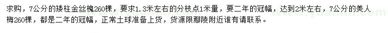 求购7公分金丝槐、美人梅