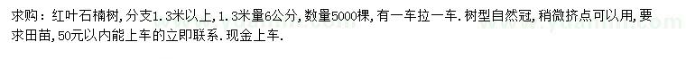 求购1.3米量6公分红叶石楠