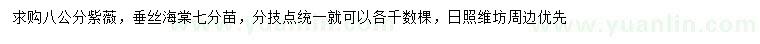 求购8公分紫薇、垂丝海棠