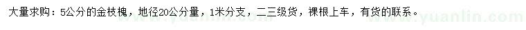 求购5公分金枝槐