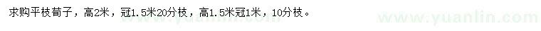 求购高2米平枝荀子