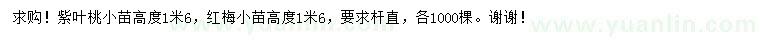 求购高1.6米紫叶桃小苗、红梅小苗