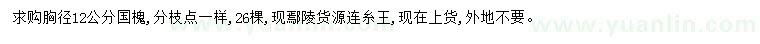 求购胸径12公分国槐