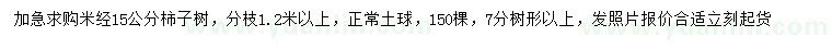 求购米径15公分柿子树