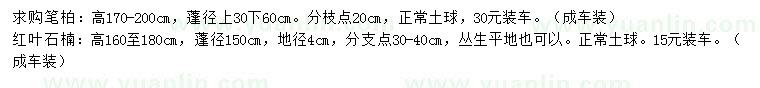 求购高170-200公分笔柏、高160-180公分红叶石楠