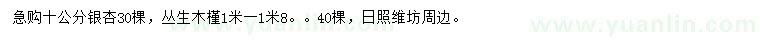 求购10公分银杏、1-1.8米丛生木槿