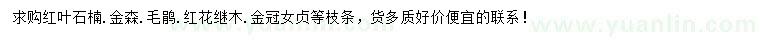 求购红叶石楠、金森、毛鹃等枝条