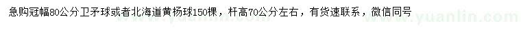 求购冠幅80公分卫矛球、北海道黄杨球