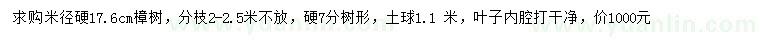 求购米径17.6公分樟树