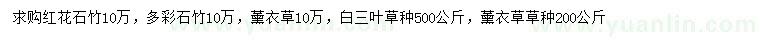 求购红花石竹、多彩石竹、薰衣草等