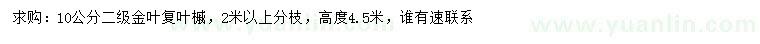 求购10公分金叶复叶槭