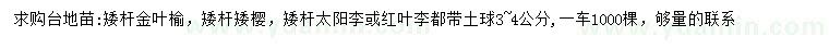 求购金叶榆、矮樱、太阳李等