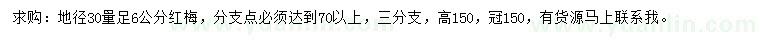 求购30量6公分红梅