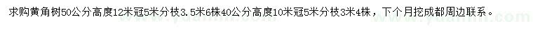 求购40、50公分黄角树