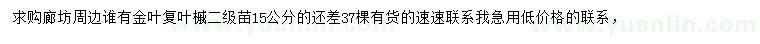 求购15公分金叶复叶槭