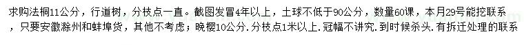 求购11公分法桐、10公分晚樱