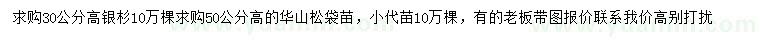 求购高30公分银杉、高50公分华山松