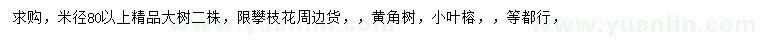 求购米径80公分以上黄角树、小叶榕